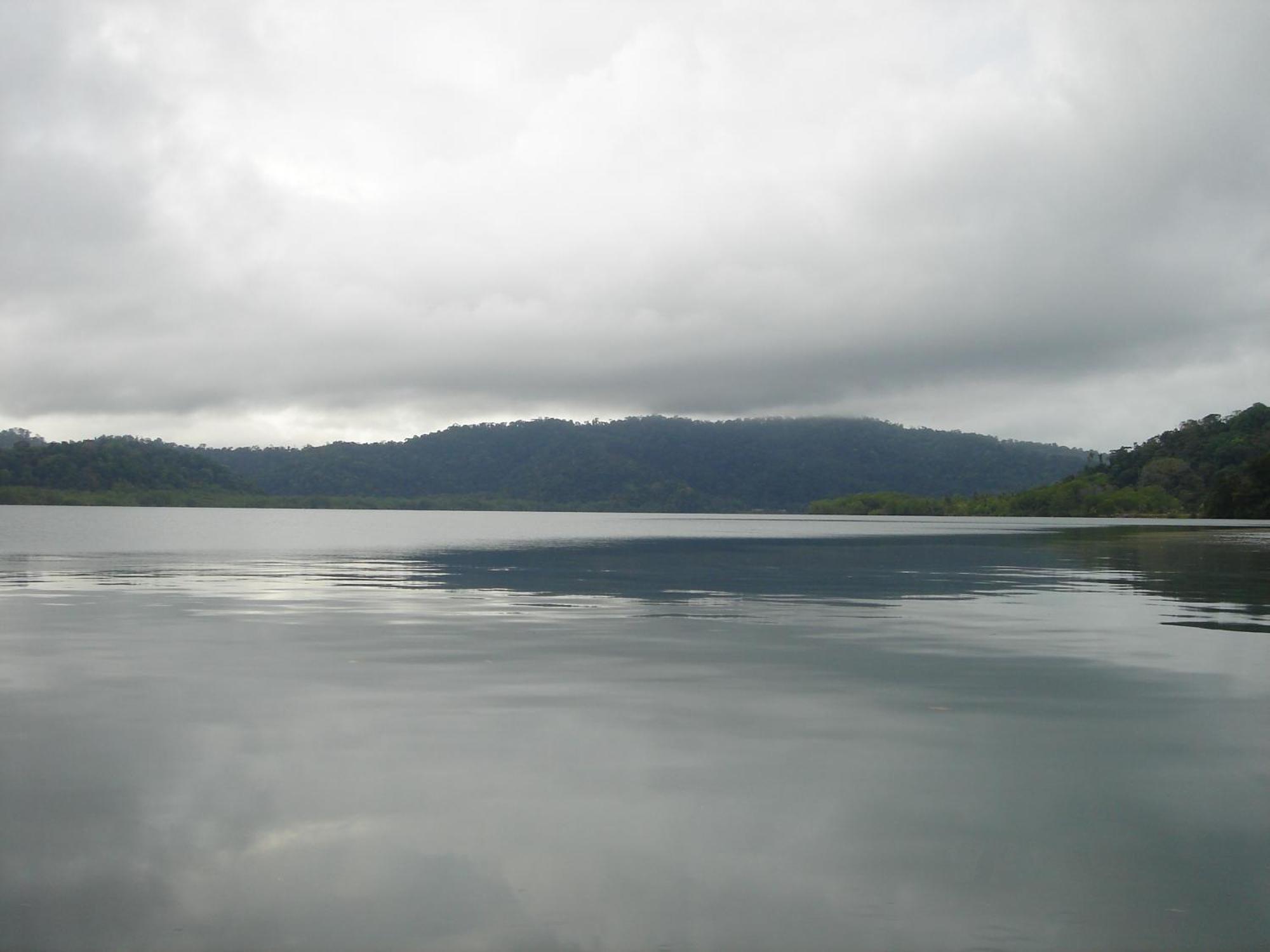 小提琴岛生态山林小屋 Drakes Bay 外观 照片