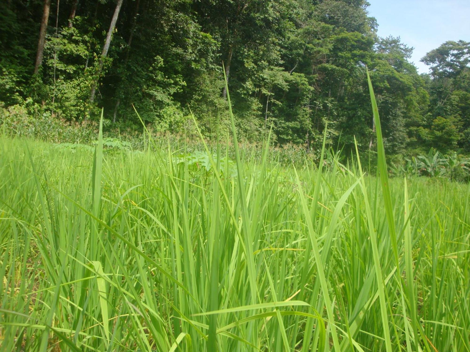 小提琴岛生态山林小屋 Drakes Bay 外观 照片