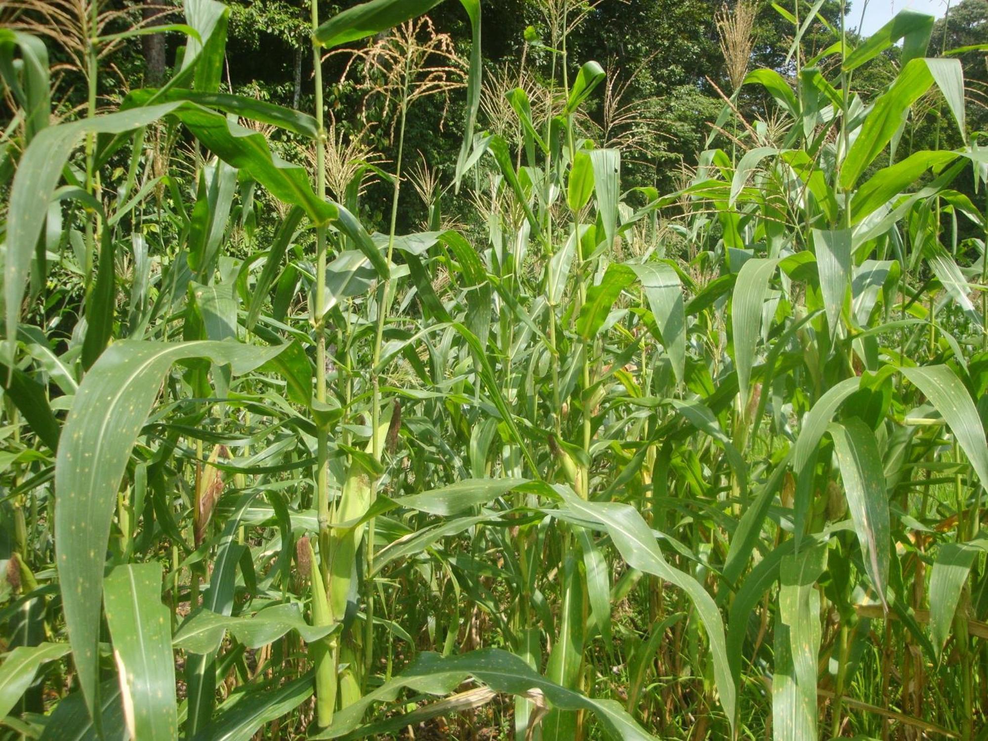 小提琴岛生态山林小屋 Drakes Bay 外观 照片