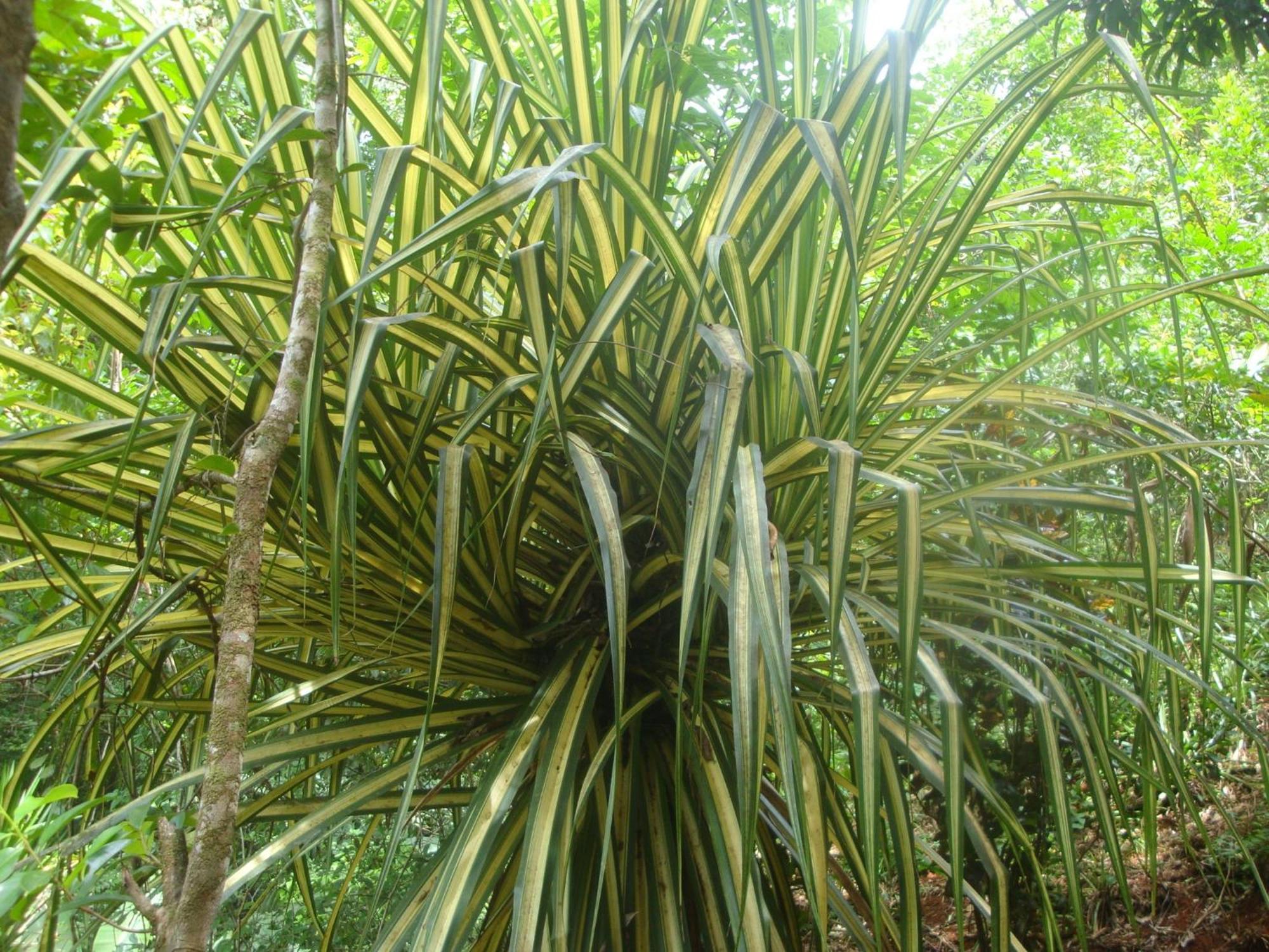 小提琴岛生态山林小屋 Drakes Bay 外观 照片