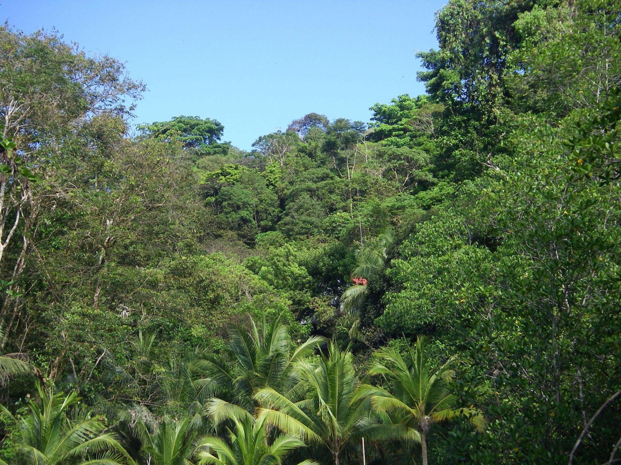 小提琴岛生态山林小屋 Drakes Bay 外观 照片